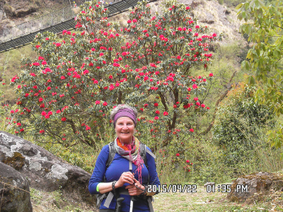 dhampus trekking